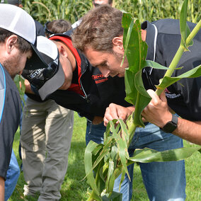 Justin McMechan identifying aphids