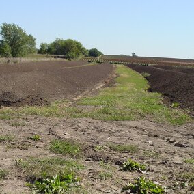 Land-applied manure