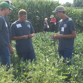 Colfax County Crop Scout Team, winners in 2016