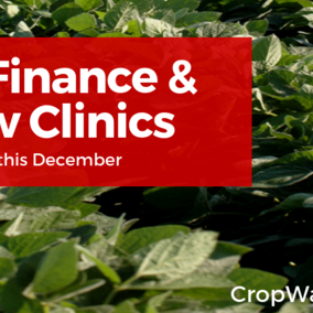 Image announcing December clinics