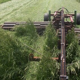 Crimper designed by UNL students to be used in cover crops