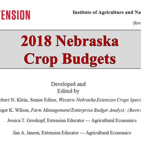 Crop Budget title page