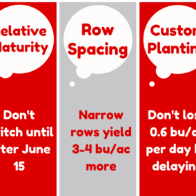 3 top tps for delayed soybean planting