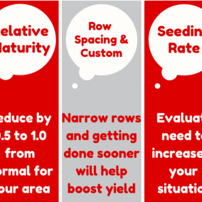 Strategies for delayed soybean planting