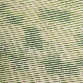 Figure 1. Aerial imagery was collected at bean emergence using a drone. All dark green rows correspond to plots with different rates of char (10, 20, 30, 40, and 60 tons/acre).