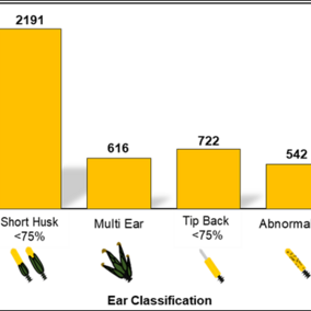 Bar graph showing distribution of various ear abnormalities within the tested group.