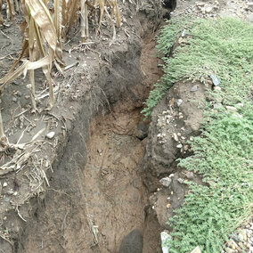 Soil erosion following heavy rains