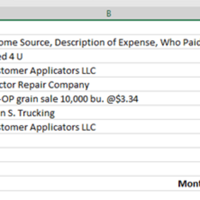 Portion of an Excel ledger sheet illustrating inconsistent naming