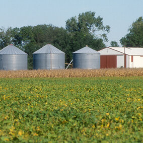 Crop field and farm
