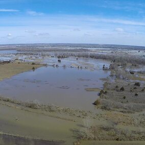 flooded field