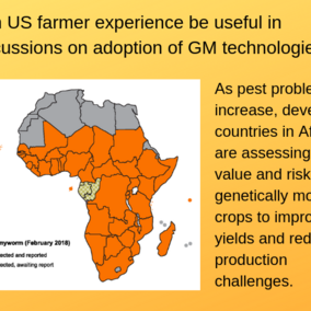 Infographic showing map of Africa and extent of fall armyworm infestation and asking Can US farmer experience be useful in discussions on adoption of GM technologies?