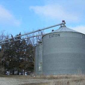 Grain bins