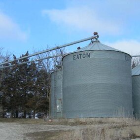 Grain Bins