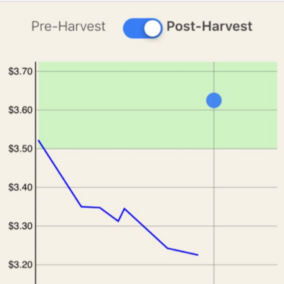 Grain Marketing App