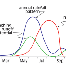 Graph of potential N loss