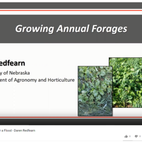 Screen show of the video, Growing Annual Forages, one of five available from the April 9, 2019 post-flood meeting.