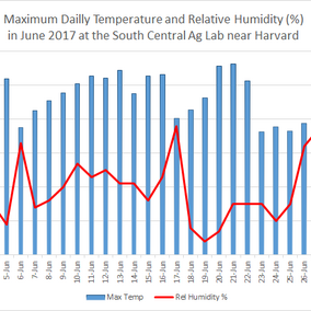 Maximum daily temperature and humdity recorded at Harvard in June 2017