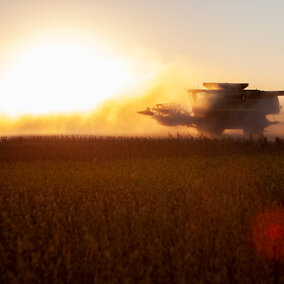 Combine harvester in a field at sunset, surrounded by dust.