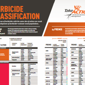 Section of the Herbicide Classification Chart