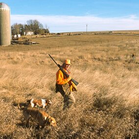 A hunter walking a private field with his dog in Burt County