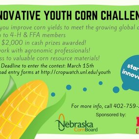 innovative youth corn challenge graphic