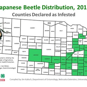 Nebraska map of Japanese beetle distribution