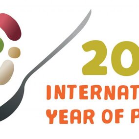 2016 - International Year of Pulses