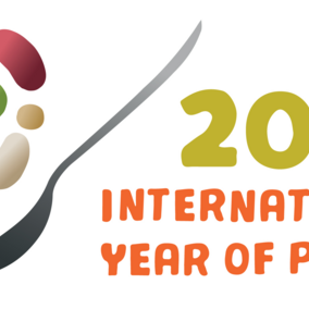 Logo showcasing 2016 International Year of the Pulse