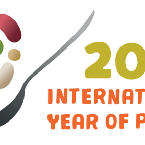 International Year of the Pulse icon