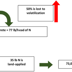 Figure 1. Land-applied manure from finishing 5 million beef cattle per year in Nebraska contains the equivalent of 150 lb/ac/yr N applied to 1.2 million acres.