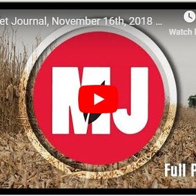 Market Journal screen capture for November 16, 2018.