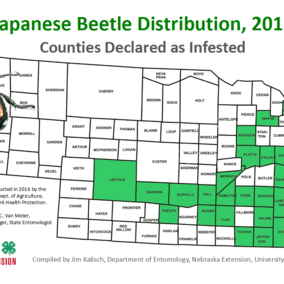 Map of Japanese beetle distribution in Nebraska in 2016