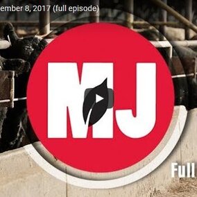 Market Journal for Feb. 1, 2019
