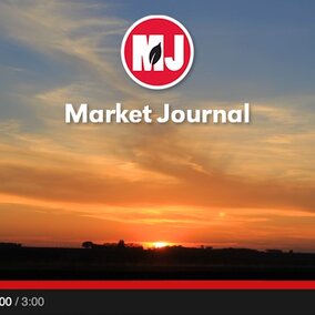 Market Journal