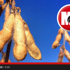 Market Journal video capture