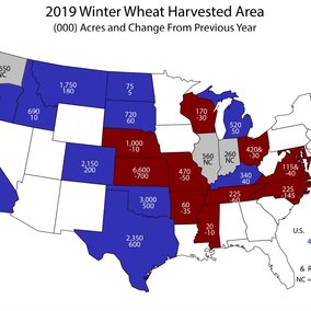 Estimate by USDA NASS of winter wheat acres to be harvested in 2019 and difference from 2018. Nebraska is to harvest 1,000,000 wheat acres, down 10,000 from 2018.