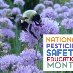 National Pesticide Safety Education Month
