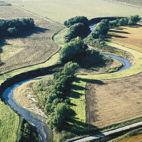 filter and buffer strips next to waterway