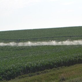 Crop irrigation