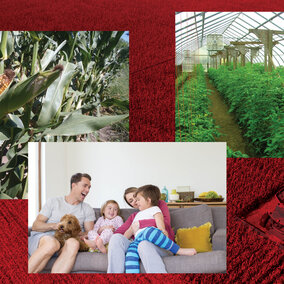 Composite photo showing benefactors of pesticide education
