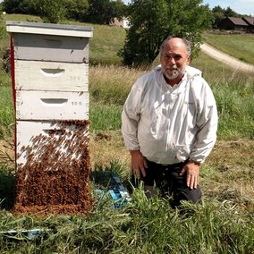 John Wilson with bees