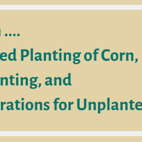 More on Preventing planting of corn, late planting, and considerations for unplanted acres