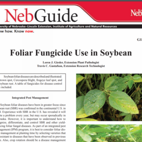 Cover of new Extension publication, Foliar Fungicide Use in Soybean