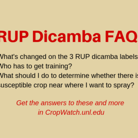 Graphic listing several questions in the FAQ story