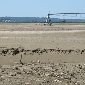 Eastern Nebraska field covered with sand in 2011. (Photo courtesy of Lee Valley, Inc.)