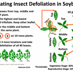 Process for sampling soybean leaves to assess defoliation