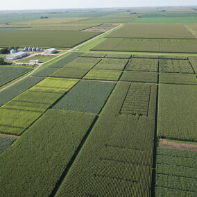 Each year more than 100 research trials are conducted at the South Central Agriculture Laboratory near Harvard. The Aug. 29 SCAL Field Day invites the public to view and learn about the most recent research from UNL and USDA scientists.