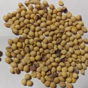 Soybeans