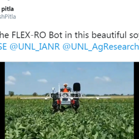 Flex-Ro Bot working in a soybean field