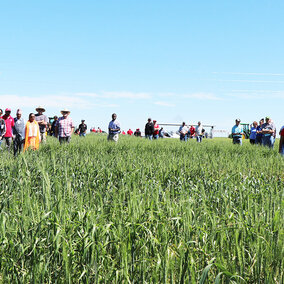 Stephen Baenziger speaking to growers at one of the Winter Wheat Variety Trial field days.